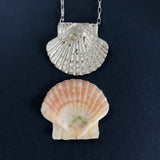 Scallop Shell Necklace