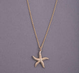Starfish with Gemstone Pendant & Chain