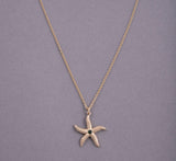Starfish with Gemstone Pendant & Chain