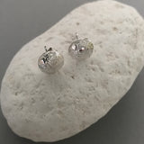 Coccolthophore Stud Earrings