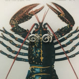 Lobster Antennae Studs