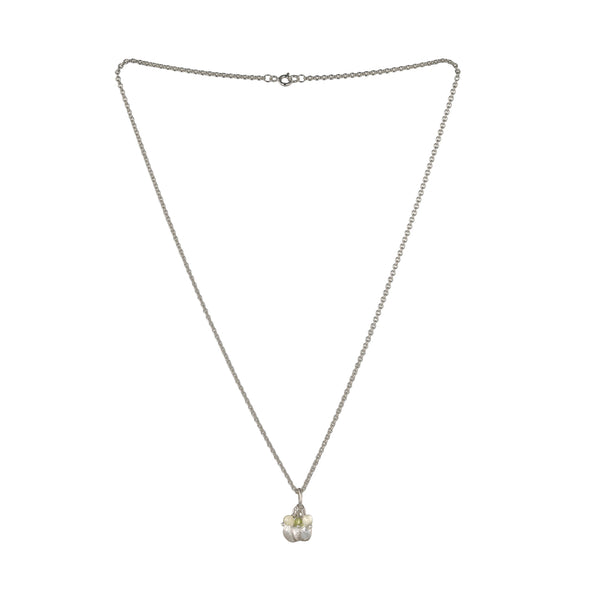 Exochorda Pendant with beads and chain (Copy)