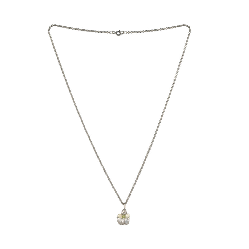 Exochorda Pendant with beads and chain (Copy)