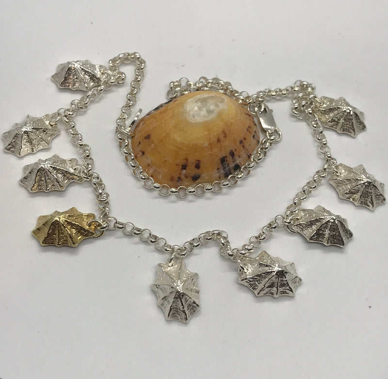 Limpet & Chain Necklace